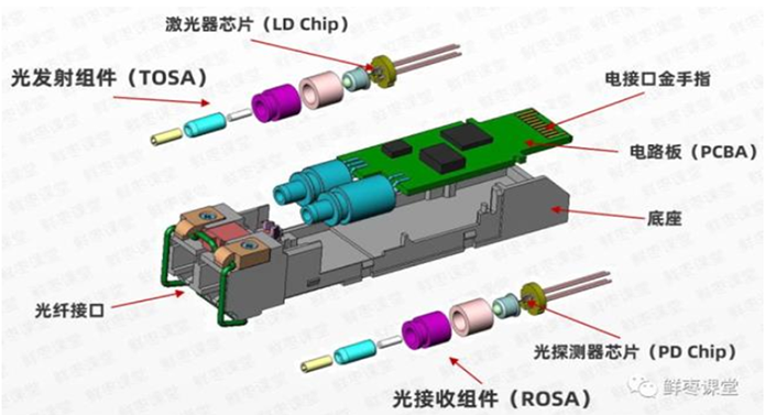 资料来源：鲜枣课堂微信公众号.png